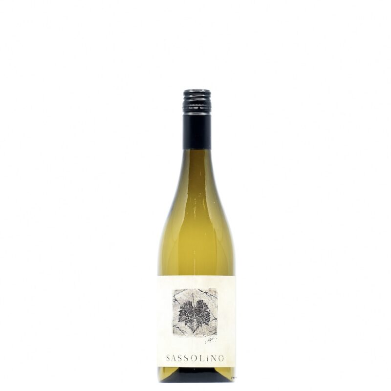 2024 Zuani 'Sassolino' Pinot Grigio