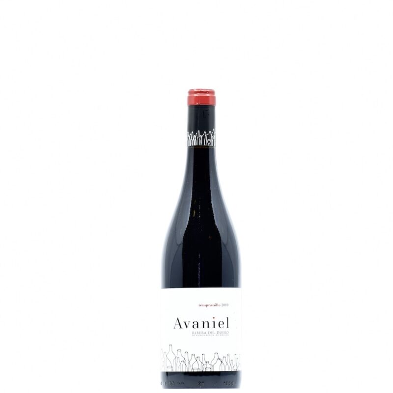 2024 Bodegas Monteabellon Avaniel Tinto Ribera del Duero