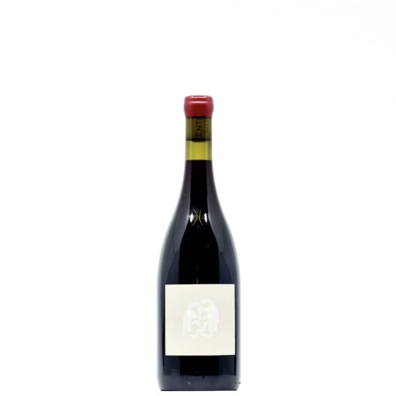 2022 Entropy Willow Grove Vineyard Pinot Noir