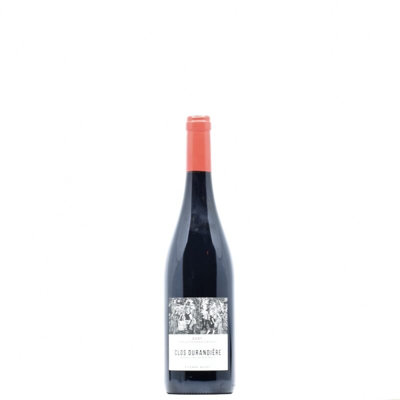 2021 Etienne Bodet Clos Durandière Saumur Champigny