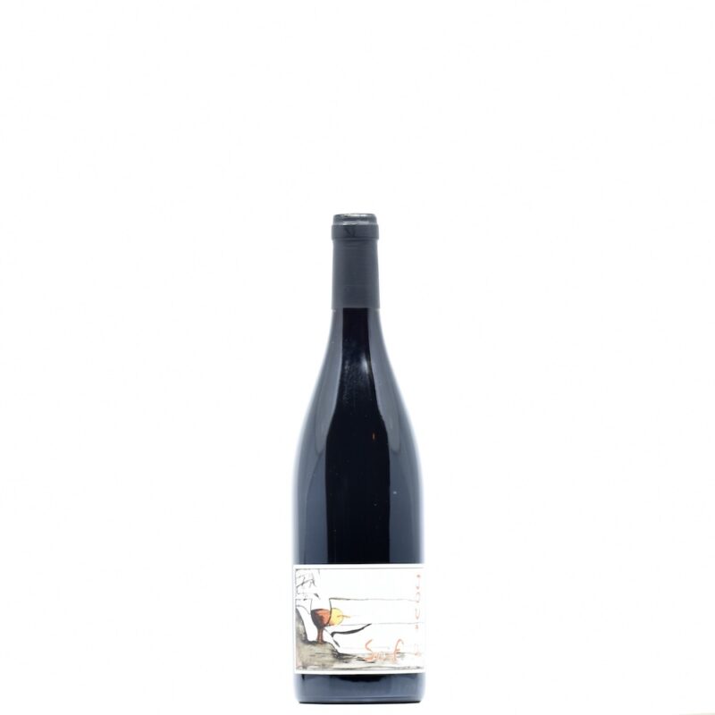 2024 Domaine du Bel Air Bourgueil Jour de Soif