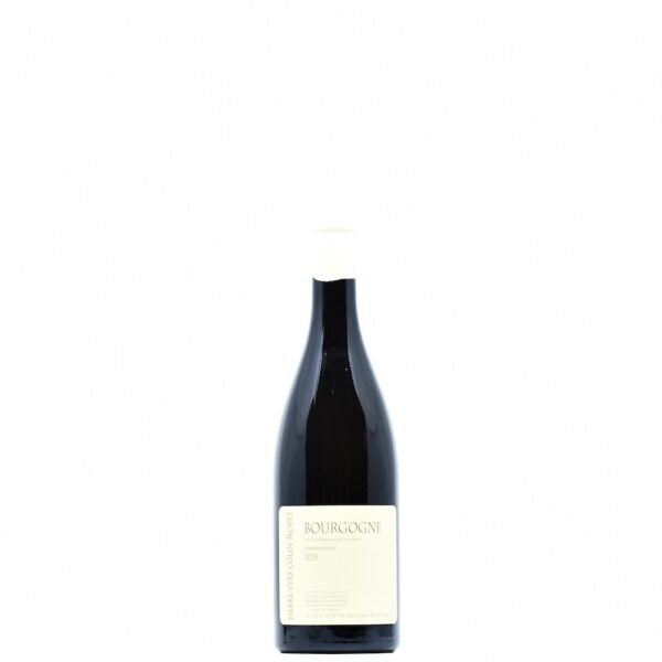 2023 Pierre-Yves Colin-Morey Bourgogne Blanc
