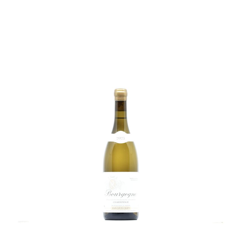 2023 Jean-Louis Chavy Bourgogne Blanc