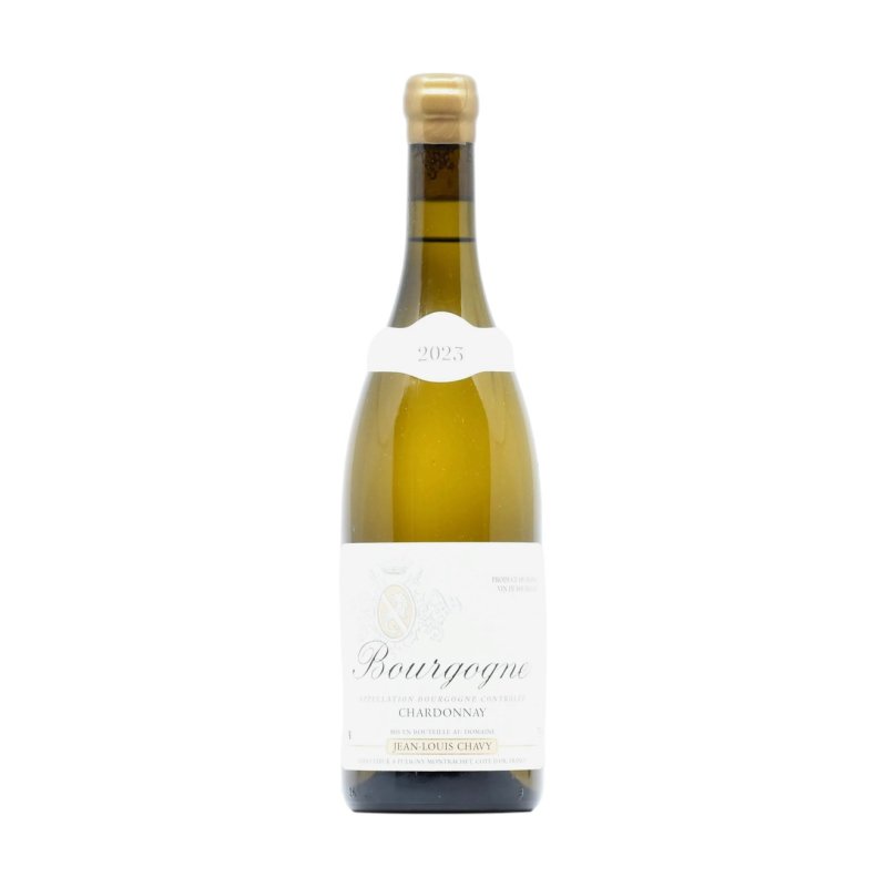 2023 Jean-Louis Chavy Bourgogne Blanc