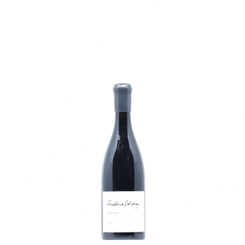 2024 Caroline Morey Santenay Rouge